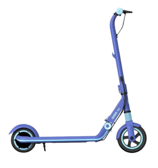 SEGWAY NINEBOT EKICKSCOOTER ZING E8